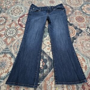 American Eagle Outfitters Favorite Boyfriend Wide Leg Jeans